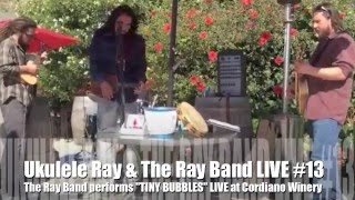 Ukulele Ray TINY BUBBLES at Cordiano Winery LIVE