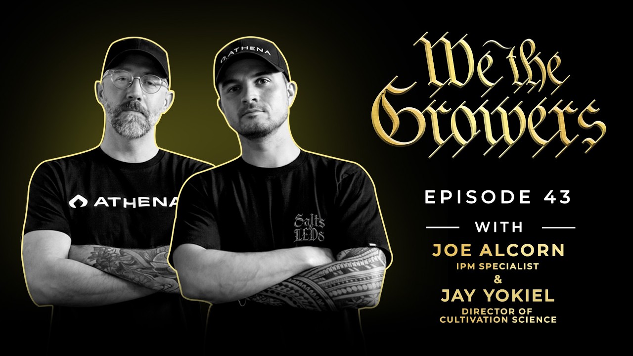 Athena IPM Team Joe Alcorn & Jay Yokiel - E.43