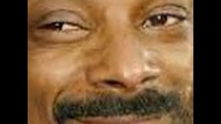 RIP.mp4.wmv.mlg
