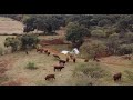 La cosecha de agua de Rancho Baragonza