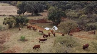 La cosecha de agua de Rancho Baragonza