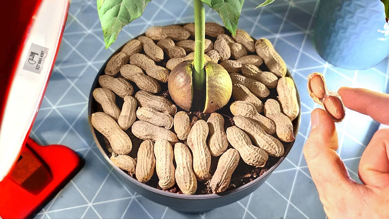 WAS IST MIT DER PFLANZEN PASSIERT - 310 TAGE SPÄTER