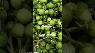 1కాయ 100 c vitamin tablets తో సమానం