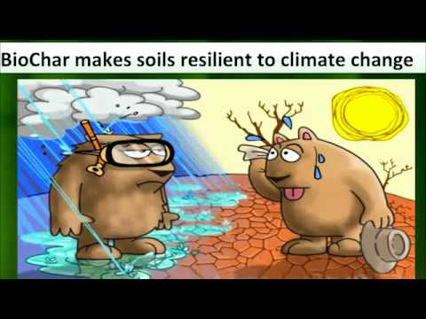 Vídeo: Biochar Fertilizer - Saiba mais sobre o Biochar como uma alteração do solo