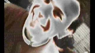 Insetto - Factory Snc