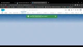 Create and Convert Leads as Potential Customers #salesforce