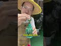 Así puedes controlar las plagas de tus plantas 🌱🐛