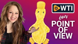 Best Pet Supplies Crinkle Dog Toys | Our Point Of View