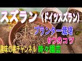 【スズラン（ドイツスズラン）】プランター栽培　6つのコツ　22/11/14