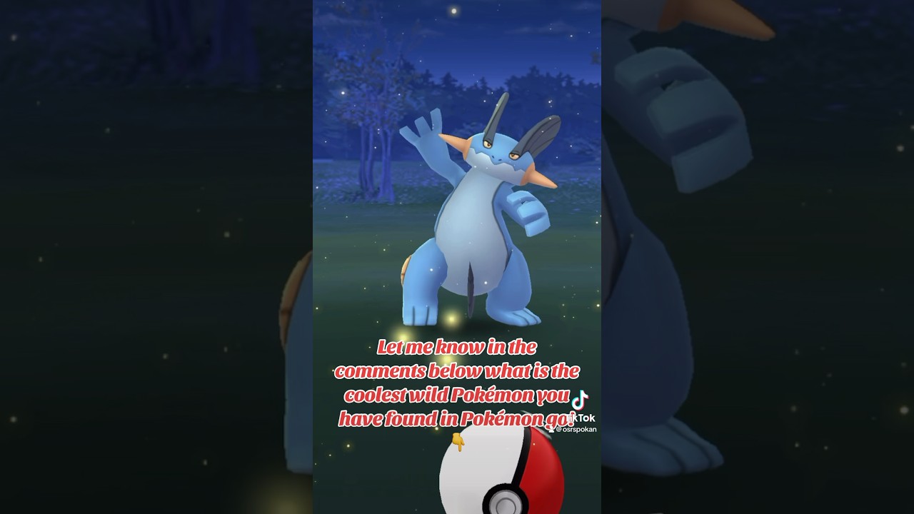 I found a random wild fully evolved Swampert in Pokémon go! 🌊