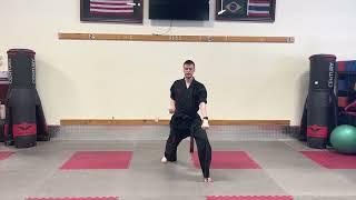 Famous BASICS: FRONT STANCE LOW BLOCK Wealth