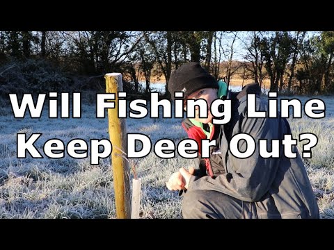 Video: ¿El hilo de pescar mantendrá a los ciervos fuera del jardín?