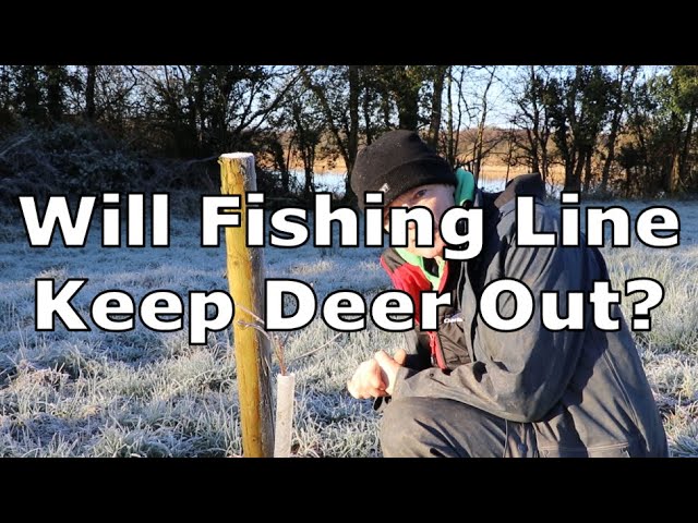Low Cost Fishing Line Deer Fence Does Not Work  It Will Not Keep Deer Out  Or Confuse Them 