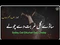 Latest saraiki poetry  dohra by amjad tabassum joiya for shorts whatsapp status 2021  saraiki