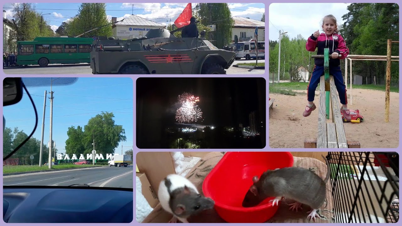 vlog/9 мая/Дачка/Едем с Сашей к пульмонологу/Нужно делать МСКТ/Наши ...