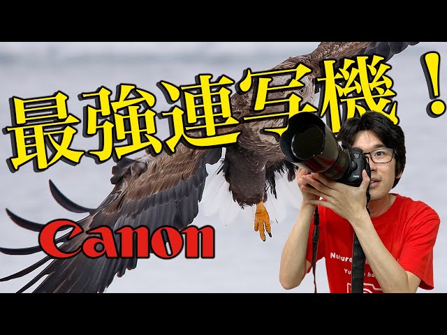 Canon] The best value for money continuous shooting camera! 7Dmark
