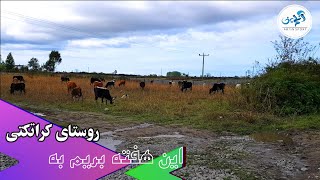 این هفته به روستای کرات کتی مازندران میریم / Mazandaran Iran karat koti /  north of iran nature