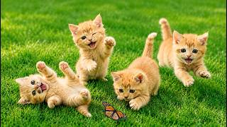 🐱🌿 Happy Kittens Chasing Tiny Mice on Lush Green Grass | Relaxing Cat Sounds | Meow Sounds