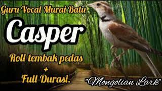 Rahasia Guru Vocal Murai Batu Casper ngerol tembak dengan Speed Rapat. ( Mongolian Lark )