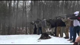 The Most American Way to Down a Tree... GUNS!