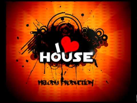 Electro/ House Mix 2010