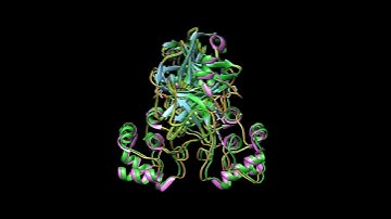 Structural similarity of the COVID-19 main protease and the SARS Coronavirus Main Protease
