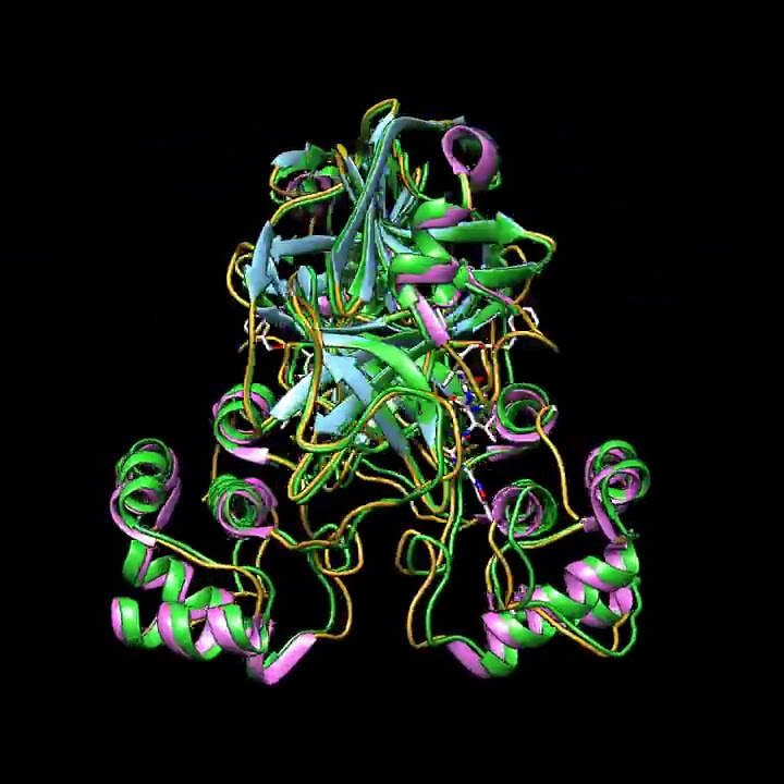 Structural similarity of the COVID-19 main protease and the SARS Coronavirus Main Protease