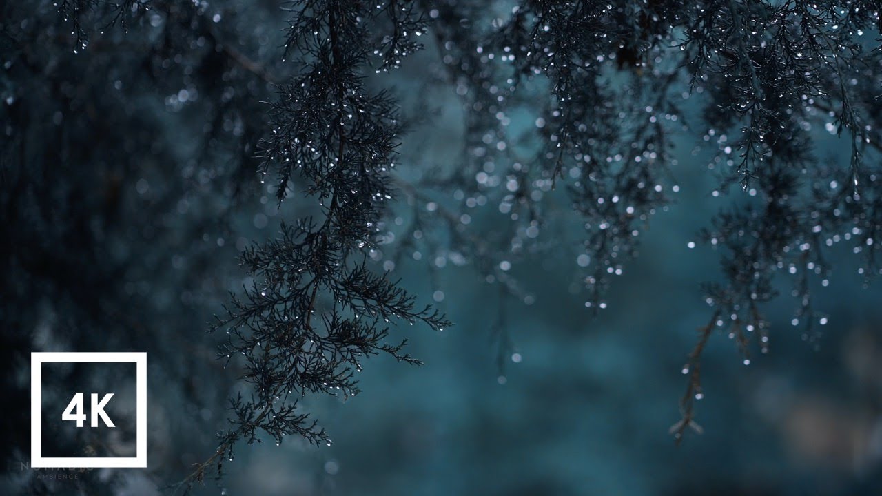 Binaural Rain Sounds For Sleep and Study in Quarantine, 4k ASMR - YouTube