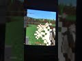 POV: you get mad and kill some mobs in Minecraft