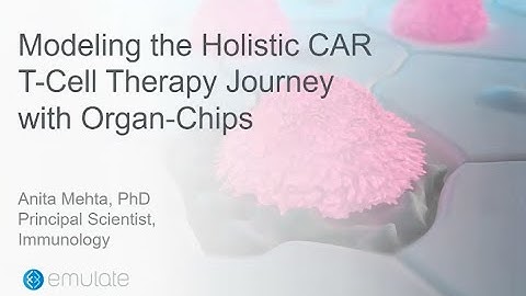 Keynote Presentation: Modeling the Holistic Journey of Solid Tumor Cell Therapy with Organ-Chips