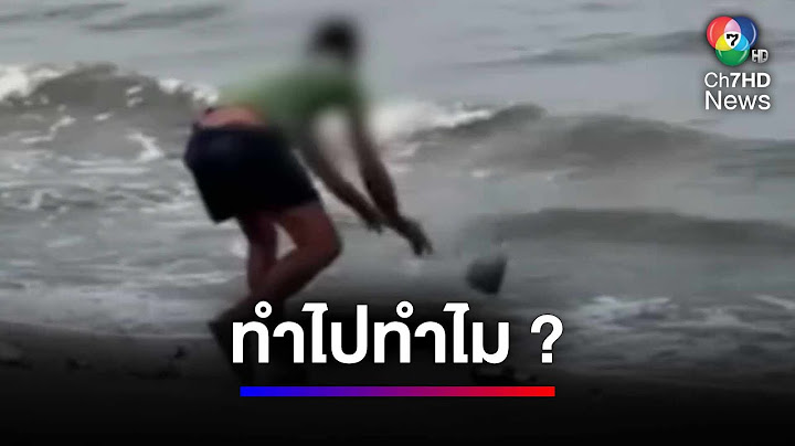 ทำไปเพื่อ ? หนุ่มทุบแก้วโยนทะเลจากนั้นก็โยนเศษแก้วลงไปในทะเล | สนามข่าว 7 สี