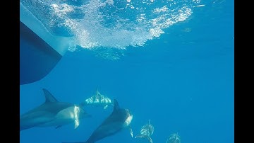 Sailing Vessel The Bottom Line - West to the Spencer Gulf