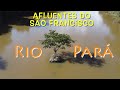 Rio Pará - Afluentes do São Francisco