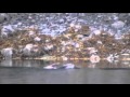 MURICA! Bald Eagle Swims to Shore with Huge Fish