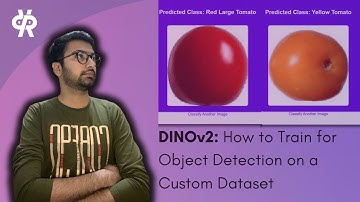 DINOv2: How to Train for Object Detection on a Custom Dataset
