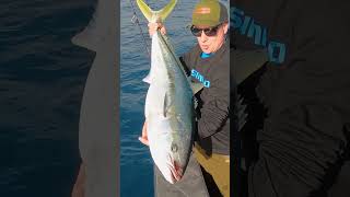 Ocea Bubble Dip 220F Lure.