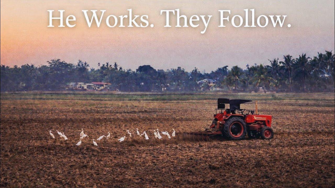 “He Works for His Meal. Nature Follows for Hers | Kuttanad Morning”