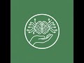 Functional - EEG Modality Shifts in Epilepsy Presurgical Evaluation