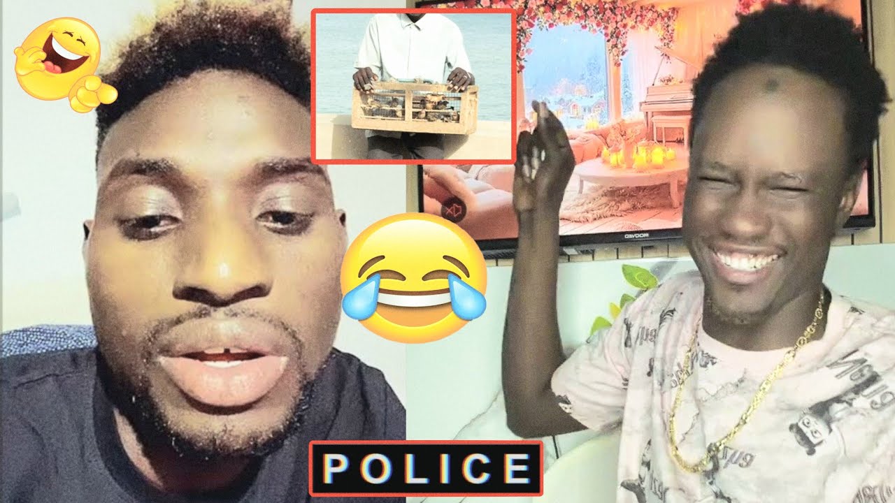 Wouy 🤣Appelle thioune boutique Ak Adamo limou nexx way 😂😂🤣