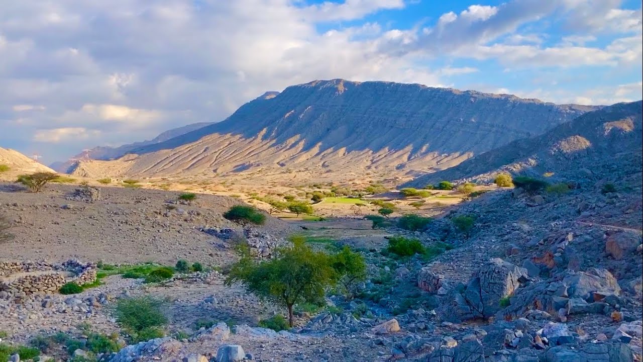 سل بني شميلي ( سل ضاية ) 20/12/2023