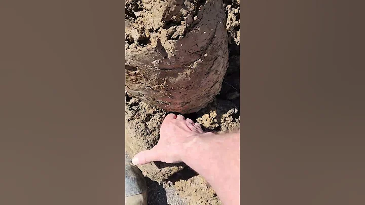 Basement waterproofing lots of clay soil to be hauled away all pea stone backfill