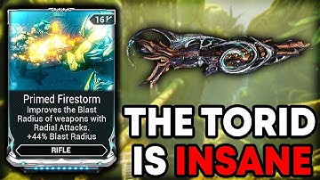 The TORID Has A SECRET Mechanic NOBODY Knows About | Warframe