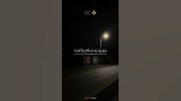 كل من عليها فان | من سورة الرحمن | #المنشاوي