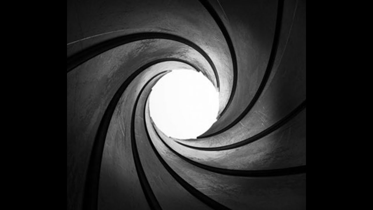 Air Rifle transport and cleaning video301