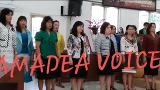 Relung Hati-Amadea Voice