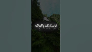 #قران #اكسبلور #رمضانمبارك #quran #المصحف #القرآن_الكريم #راحة_نفسية #تلاوات #رمضان #ياسر_الدوسري