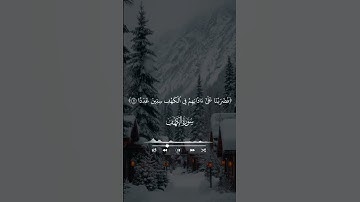 عنوان: تلاوة تهز القلوب وتدمع لها العيون 😭💔 صوت يلامس الإحساس ويوقظ الإيمان ✨#تلاوة_خاشعة