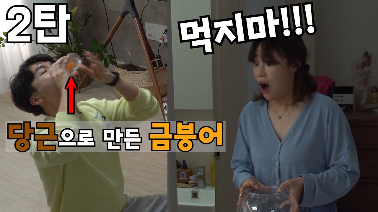 (몰카/ENG) 잠시 맡아주던 금붕어를, 다른 사람이 먹어버린다면? 2탄ㅋㅋㅋ