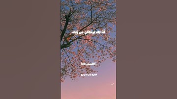 🌙 أرح قلبك بتلاوة من القرآن الكريم#القرآن_الكريم #قرآن #خشوع#قراءة_قرآن #اسلاميات#تلاوة #راحة_نفسية