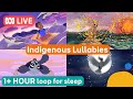 🔴 Live loop for BEDTIME 💤 | Indigenous Lullabies | ABC Kids